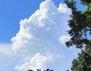 平凉天气预报,平凉7天天气预报,平凉15天天气预报,平凉天气查询